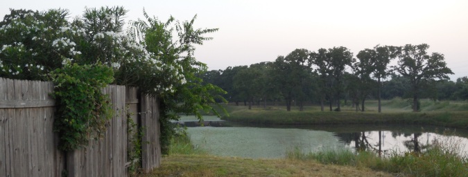 Nice Fence Pond Shot.jpg